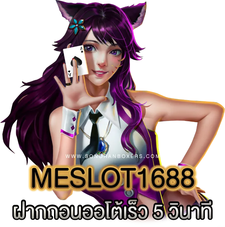 meslot1688